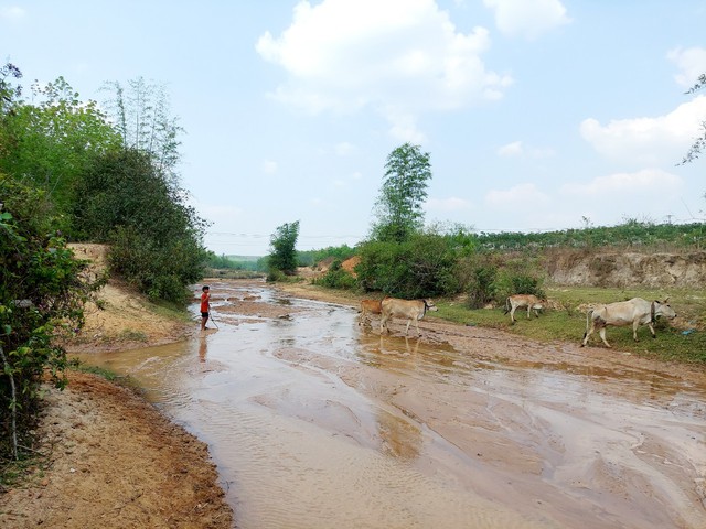 Trên 1.770 ha cây trồng ở Kon Tum có nguy cơ bị hạn hán, thiếu nước- Ảnh 1.