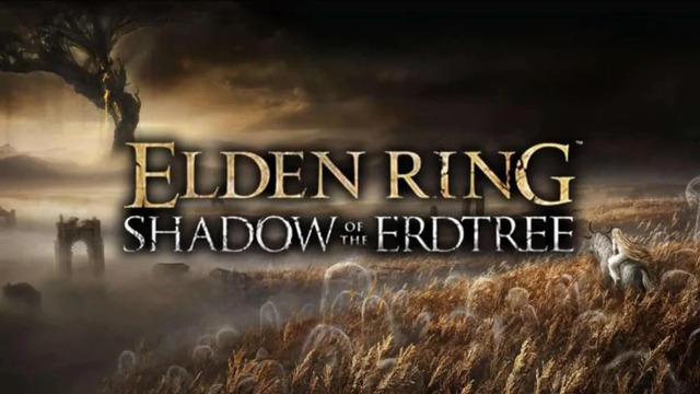Rò rỉ ngày phát hành bản mở rộng đầu tiên của Elden Ring- Ảnh 1.