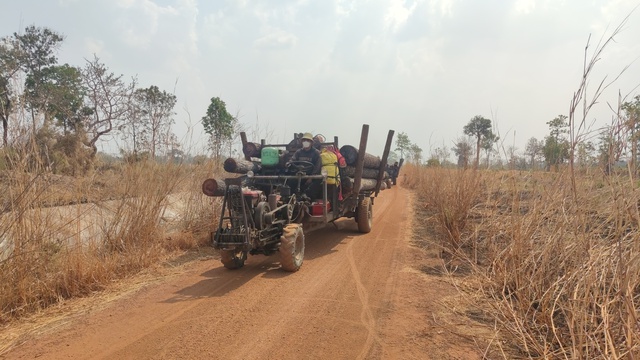 Gia Lai: Công an xác định 30 người tham gia phá rừng trong đêm 30 tết- Ảnh 2.