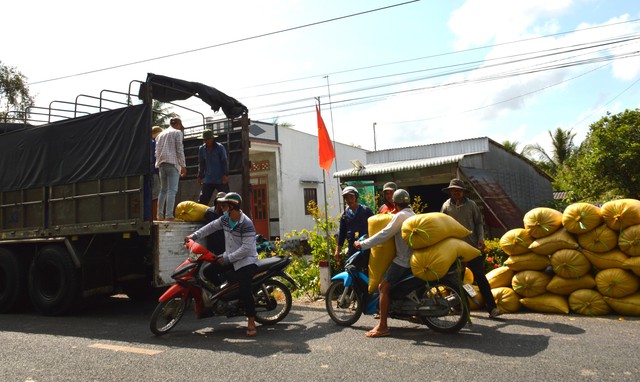Cà Mau mùa khô hạn, đội xe máy vận chuyển lúa thu nhập lên tới 1 triệu/ngày- Ảnh 11.