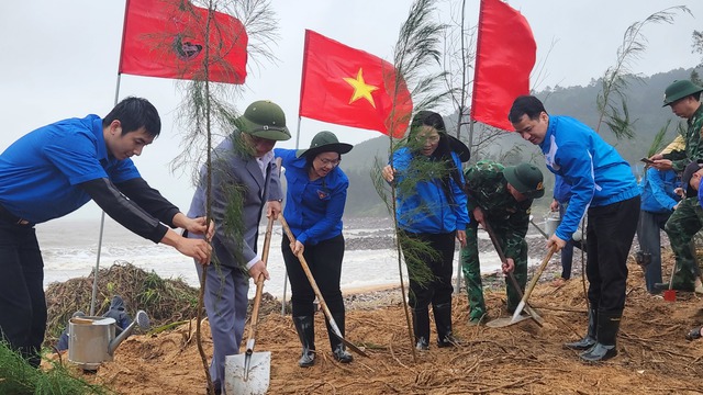 Trồng 10.000 cây phi lao phòng hộ ven biển Nghệ An- Ảnh 3.