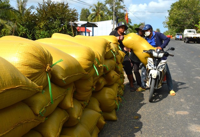 Cà Mau mùa khô hạn, đội xe máy vận chuyển lúa thu nhập lên tới 1 triệu/ngày- Ảnh 7.