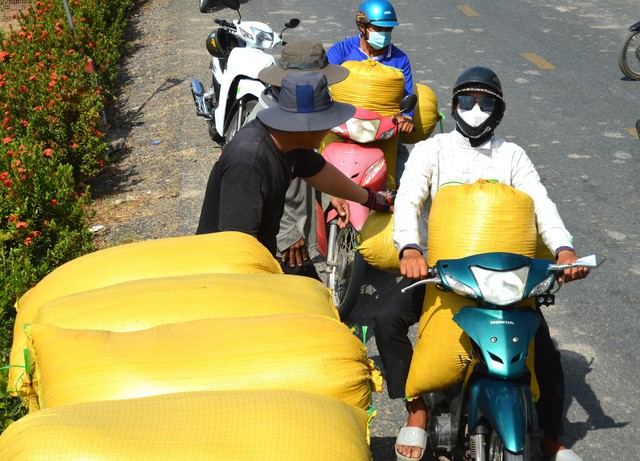Cà Mau mùa khô hạn, đội xe máy vận chuyển lúa thu nhập lên tới 1 triệu/ngày- Ảnh 9.
