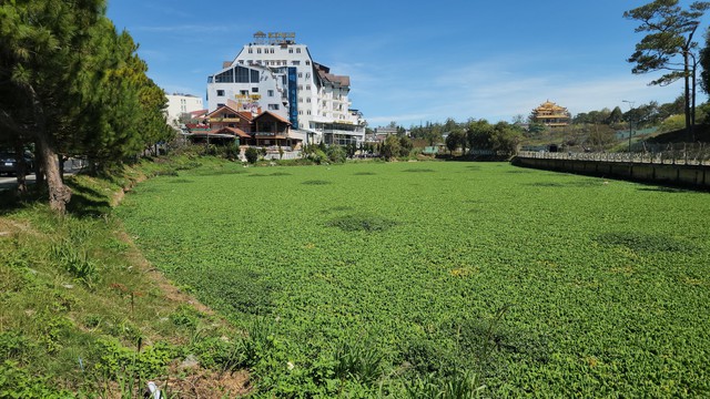 Các hồ lắng bên hồ Xuân Hương Đà Lạt nước đen ngòm, bốc mùi nồng nặc- Ảnh 4.