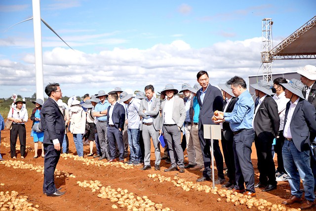 Hỗ trợ trồng khoai tây bền vững, Syngenta giúp nông dân lãi lớn- Ảnh 1.