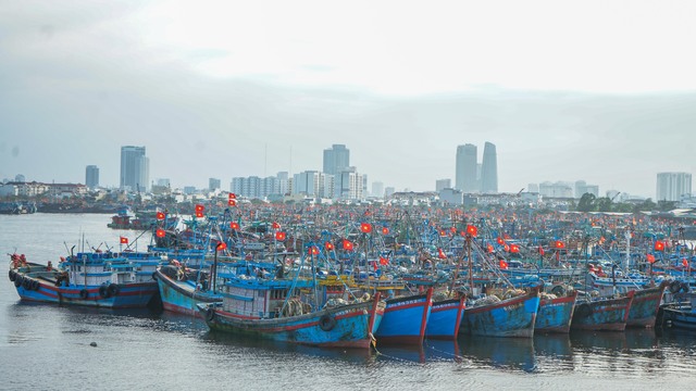 Âu thuyền Thọ Quang quá tải vì tàu cá neo đậu nghỉ tết- Ảnh 1.