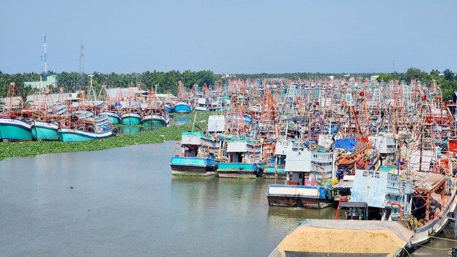 Phó thủ tướng Trần Lưu Quang: Kiên quyết xử nghiêm tàu cá vi phạm khai thác IUU- Ảnh 2.
