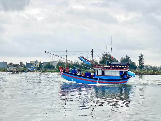 Ngư dân Quảng Ngãi bám biển xuyên tết ở Hoàng Sa- Ảnh 4.