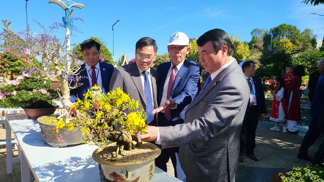 Tết này, Đà Lạt 'đãi khách' bằng hàng ngàn tác phẩm hoa lan- Ảnh 10.