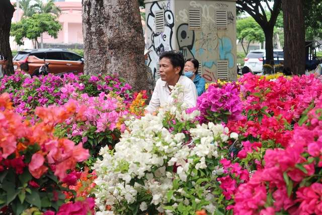 TP.HCM: Người bán hoa tết 3 miền đang rầu rĩ vì ế ẩm chưa từng có- Ảnh 1.