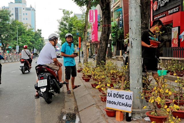 TP.HCM: Người bán hoa tết 3 miền đang rầu rĩ vì ế ẩm chưa từng có- Ảnh 5.