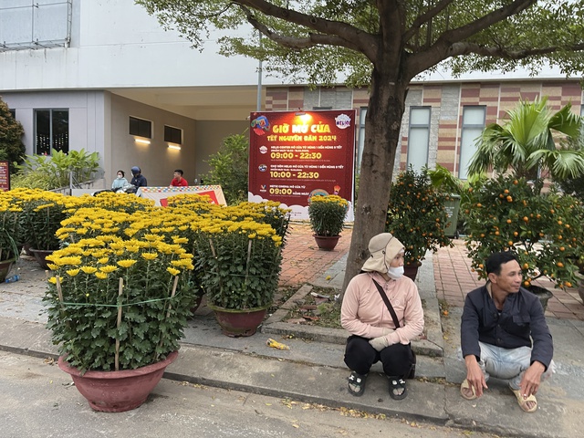 Người bán hoa tết ở Đà Nẵng thất thần vì 'ế ẩm chưa từng thấy'- Ảnh 2.