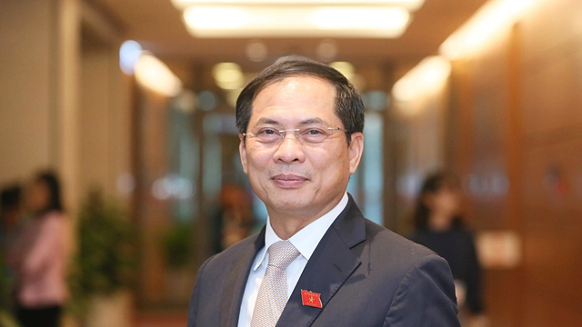 Bộ trưởng Bùi Thanh Sơn nêu giải pháp chống tham nhũng, tiêu cực trong ngành ngoại giao- Ảnh 1.