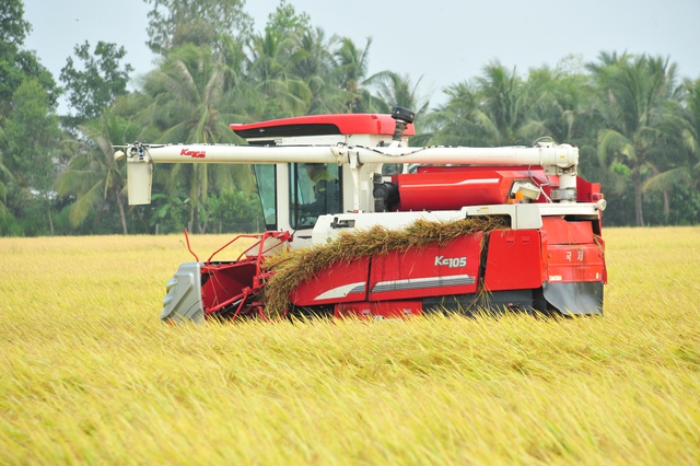 Gạo Việt trúng thầu Indonesia với giá thấp nhất- Ảnh 1.