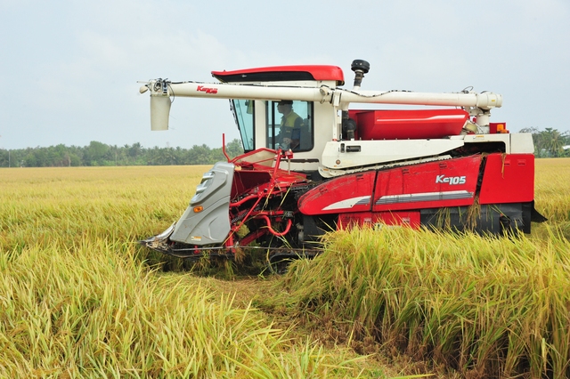 Philippines nhập đến 4,1 triệu tấn, gạo Việt Nam thêm nhiều cơ hội- Ảnh 1.