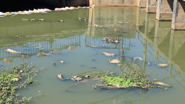 Xử lý tình trạng ô nhiễm các hồ lắng trước khi đổ vào hồ Xuân Hương- Ảnh 3.