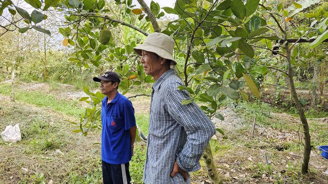 Khảo sát vụ vườn cây bị ngập do thi công đường gom cao tốc Mỹ Thuận - Cần Thơ- Ảnh 3.