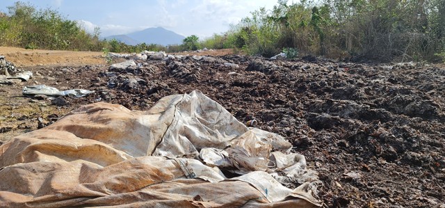 Ninh Thuận: Người dân phản ánh tình trạng hàng trăm tấn vỏ nha đam gây ô nhiễm- Ảnh 1.