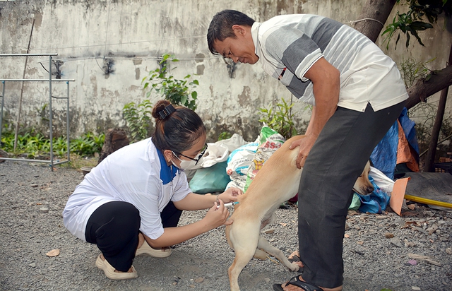 Cấp bách phòng chống bệnh dại- Ảnh 1.