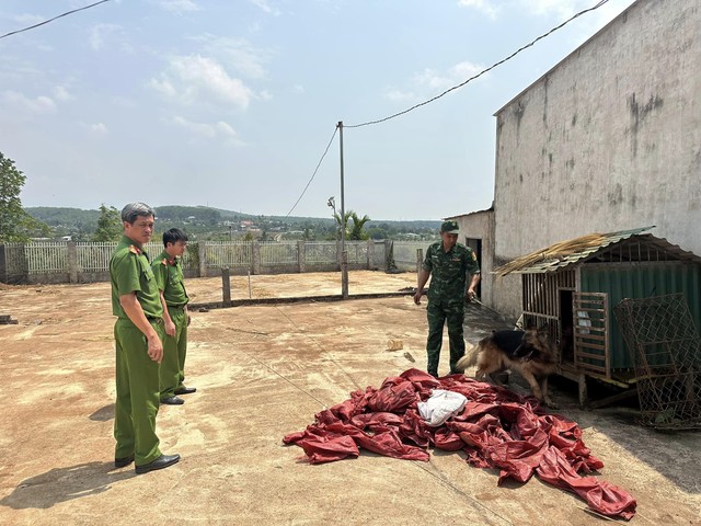 Công an Bình Thuận, Quảng Ninh, Kon Tum phối hợp triệt xóa đường dây ma túy- Ảnh 1.