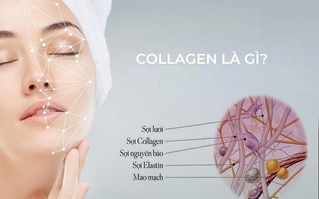 Sự thật về thực phẩm bổ sung collagen: Có hiệu quả như chúng ta vẫn nghĩ?- Ảnh 2.