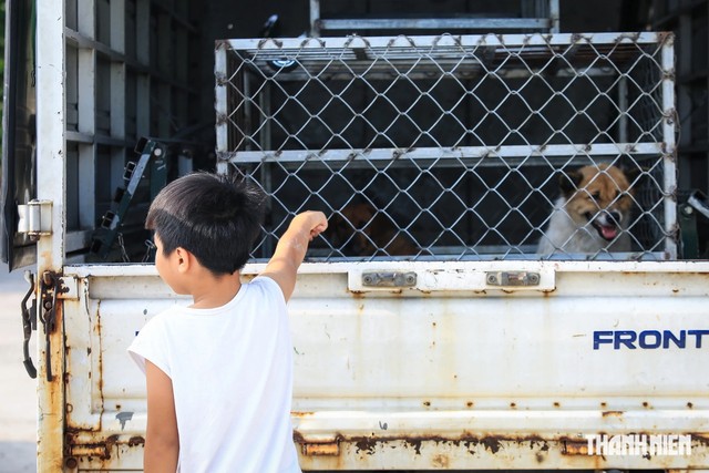 Đề xuất nuôi chó mèo phải đăng ký với chính quyền ở TP.HCM: Người nuôi nói gì?- Ảnh 6.