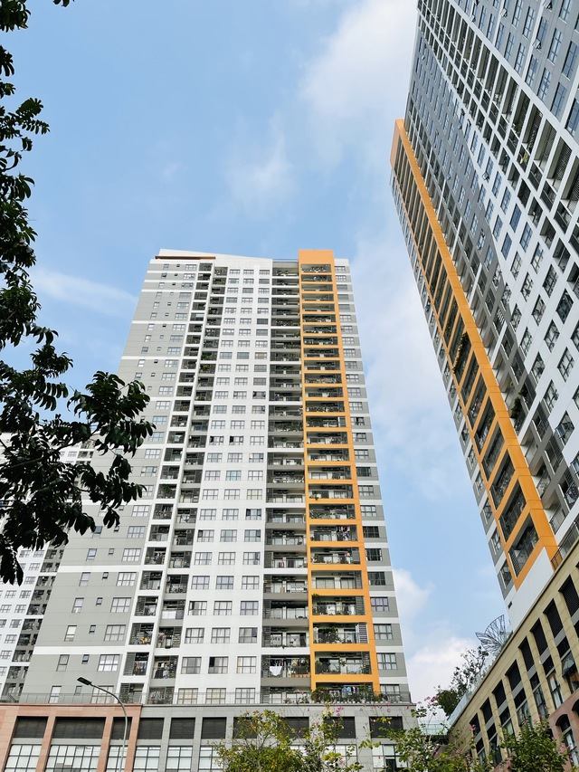 Tranh chấp chỗ đậu xe ô tô tại chung cư The Sun Avenue- Ảnh 1. Tranh chấp chỗ đậu xe ô tô tại chung cư The Sun Avenue- Ảnh 1.