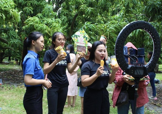 Gửi đến Thủ tướng: Nhiều trăn trở và hiến kế về chuyển đổi số quốc gia- Ảnh 1.