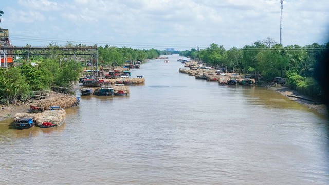 Đội nắng mưu sinh trên cánh đồng mía- Ảnh 8.