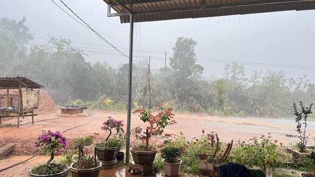 Cơn mưa đầu mùa giúp vùng hạn Kon Tum giải nhiệt- Ảnh 1.