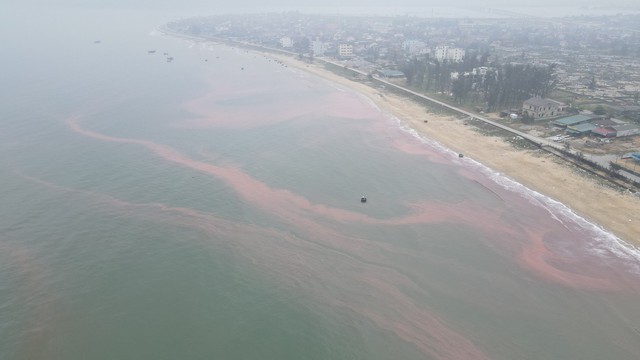 Biển Hà Tĩnh xuất hiện vệt nước màu đỏ- Ảnh 1.