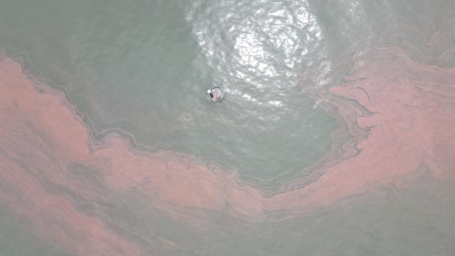 Biển Hà Tĩnh xuất hiện vệt nước màu đỏ- Ảnh 2.