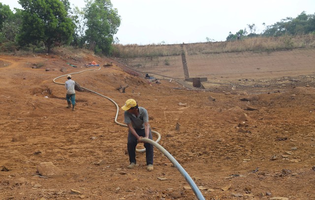 Hơn 2.100 ha cây trồng ở Lâm Đồng bị ảnh hưởng do hạn hán, thiếu nước tưới- Ảnh 1.