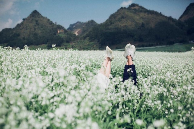 5 cánh đồng hoa đẹp bậc nhất Việt Nam khiến giới trẻ mê mẩn- Ảnh 3.