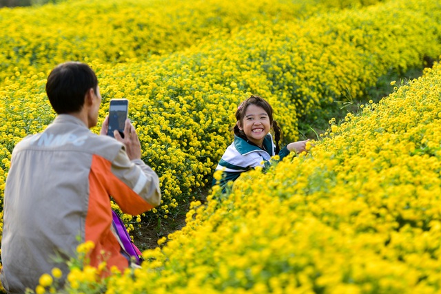 5 cánh đồng hoa đẹp bậc nhất Việt Nam khiến giới trẻ mê mẩn- Ảnh 1.