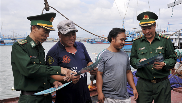 Phú Yên nỗ lực chống khai thác hải sản bất hợp pháp- Ảnh 2.