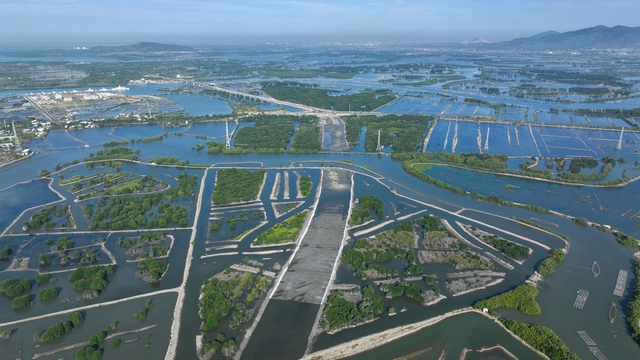 Đến năm 2050, Bà Rịa - Vũng Tàu là trung tâm kinh tế biển quốc gia- Ảnh 1.