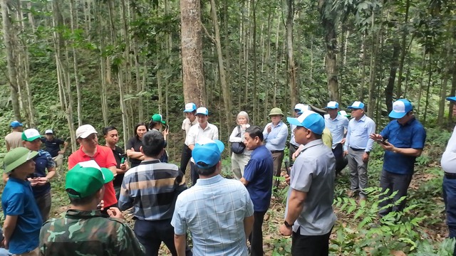Quảng Bình khởi động 'Góp một cây để có rừng', phục hồi rừng đầu nguồn- Ảnh 1.