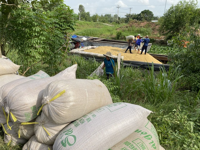 Indonesia tiếp tục mở thầu, thêm cơ hội cho gạo Việt Nam- Ảnh 1.