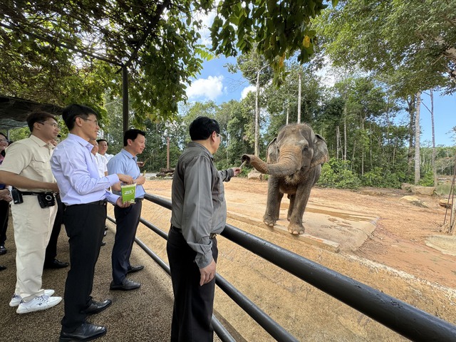 Thủ tướng Phạm Minh Chính: Phú Quốc phải phát huy được giá trị của rừng- Ảnh 4.