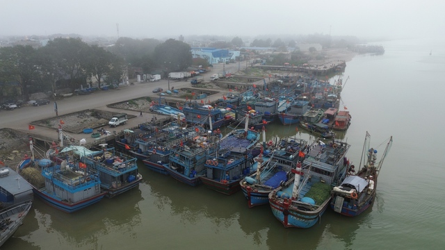 Không cho tàu cá hoạt động trên biển nếu vi phạm quy định IUU- Ảnh 1.