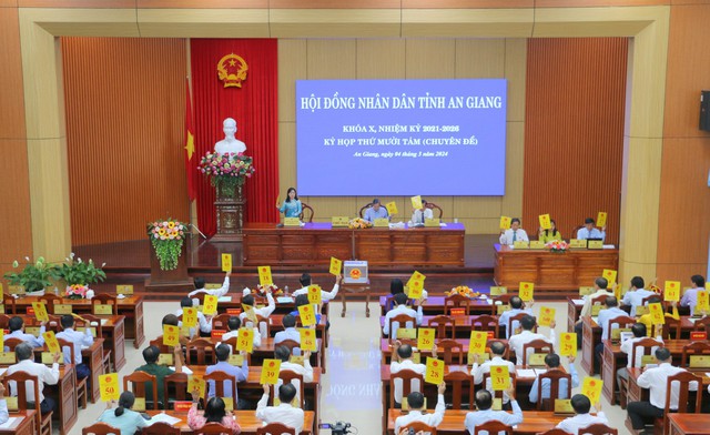 Bãi nhiệm Chủ tịch UBND tỉnh An Giang Nguyễn Thanh Bình- Ảnh 1.