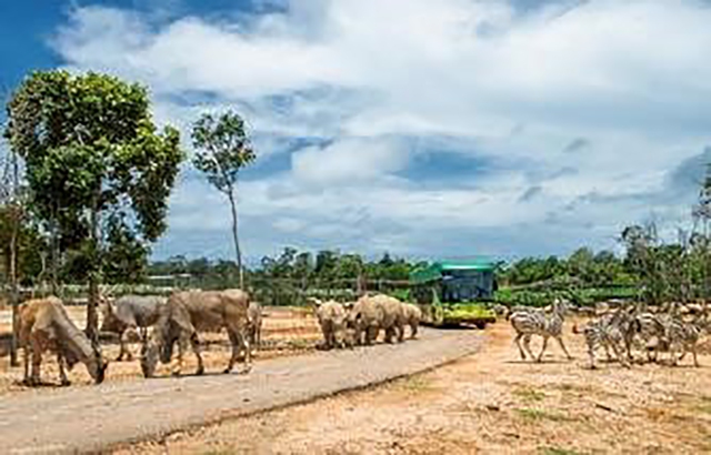 Siêu hot trải nghiệm ‘nhập vai bảo mẫu nhí’ cực hút khách tại Vinpearl Safari- Ảnh 9.