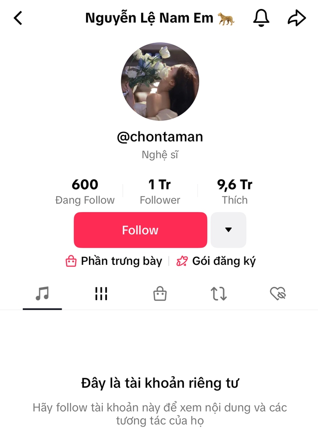 Nam Em chính thức khóa tài khoản Facebook, chuyển kênh TikTok về chế độ riêng tư