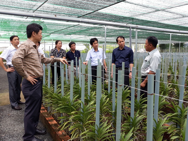 Đà Nẵng hỗ trợ đến 2 tỉ đồng cho mỗi dự án nông nghiệp công nghệ cao- Ảnh 1.