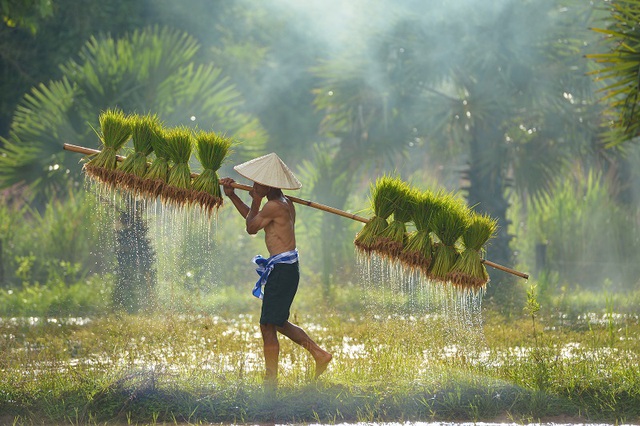 Người già Việt triền miên trong bệnh tật vì triết lý sống hy sinh- Ảnh 1.