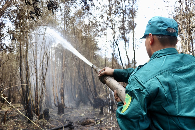 Chủ tịch UBND tỉnh Cà Mau chỉ đạo Công an tỉnh điều tra, làm rõ nguyên nhân xảy ra cháy rừng ở Nông trường 402