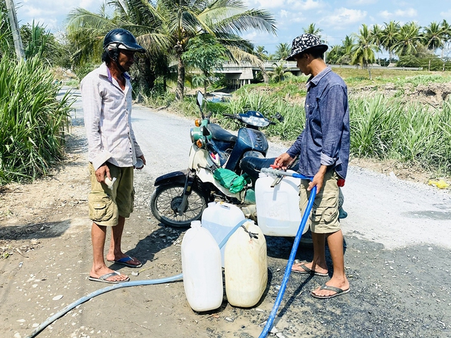 Nắng nóng, cây trồng khắp nơi 'khát nước'- Ảnh 1.