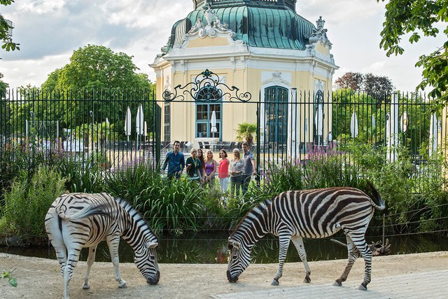 Vườn thú đa dạng và xinh đẹp tại Áo, điểm tham quan lý tưởng cho gia đình- Ảnh 1.