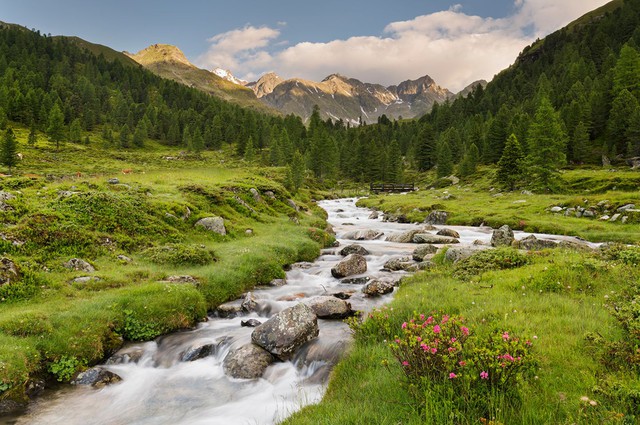 Những công viên tuyệt đẹp tại Áo, nơi hòa quyện với thiên nhiên- Ảnh 1.